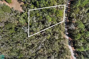 987 E Odin Dr, Dunnellon, FL 34434 - Photo 3