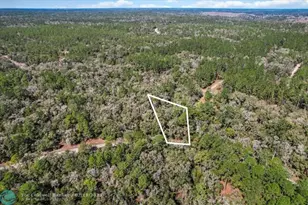 987 E Odin Dr, Dunnellon, FL 34434 - Photo 5