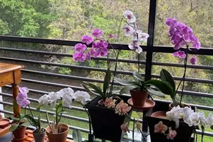 7515 NW 79th Ave, Tamarac, FL 33321 - Photo 19