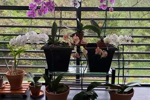 7515 NW 79th Ave, Tamarac, FL 33321 - Photo 17