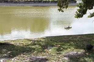 5608 NW 19th St, Lauderhill, FL 33313 - Photo 11