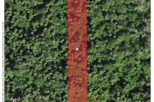 4030 26th Ave, Naples, FL 34117 - Photo 3