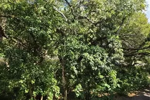 9400 Live Oak Pl, Davie, FL 33324 - Photo 23