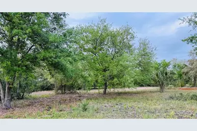 10555  State Road 60, Vero Beach, FL 32966 - Photo 3