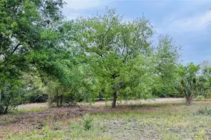 10555 State Road 60, Vero Beach, FL 32966 - Photo 3