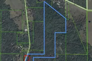 641 Sheppard Rd, Venus, FL 33960 - Photo 7