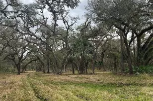 641 Sheppard Rd, Venus, FL 33960 - Photo 3