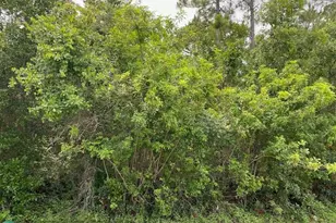 Lot 5 Blk 274 Allamanda Dr, Indian Lake Estates, FL 33855 - Photo 3