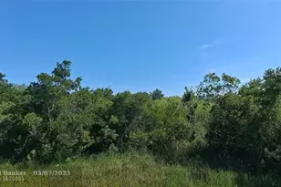 19264 NW 264th St, Okeechobee, FL 34972 - Photo 9