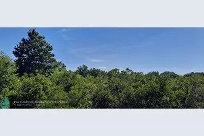 19264 NW 264th St, Okeechobee, FL 34972 - Photo 3