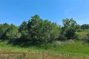 19264 NW 264th St, Okeechobee, FL 34972 - Photo 7