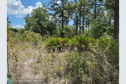 Lot 24  Indian Lake Drive, Indian Lake Estates, FL 33855 - Photo 9