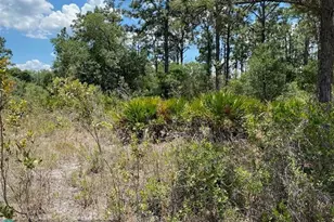 Lot 24 Indian Lake Dr, Indian Lake Estates, FL 33855 - Photo 9