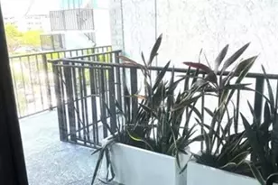 1975 SE 3rd St, Deerfield Beach, FL 33441 - Photo 29