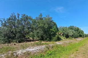 17711 NW 278th St, Okeechobee, FL 34972 - Photo 11