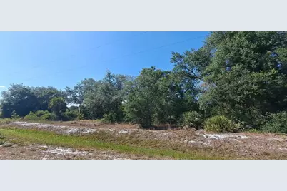 17711 NW 278th St, Okeechobee, FL 34972 - Photo 5