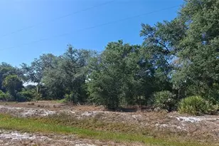 17711 NW 278th St, Okeechobee, FL 34972 - Photo 5