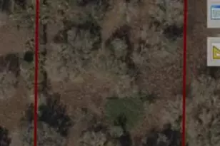 17711 NW 278th St, Okeechobee, FL 34972 - Photo 13