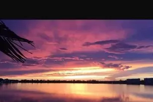 106 Lake Emerald Dr, Oakland Park, FL 33309 - Photo 43