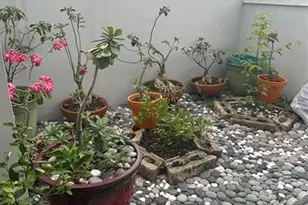 4753 SW 154th Ct, Miami, FL 33185 - Photo 5