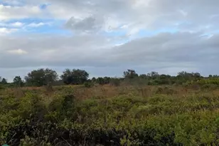 0 NW 314th St, Okeechobee, FL 34972 - Photo 5