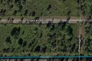 703 Tropicana Dr, Indian Lake Estates, FL 33855 - Photo 3