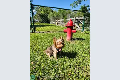 542 SW 40th Cove Lot 53, Okeechobee, FL 34974 - Photo 43