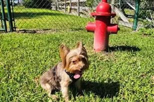 542 SW 40th Cove Lot 53, Okeechobee, FL 34974 - Photo 43