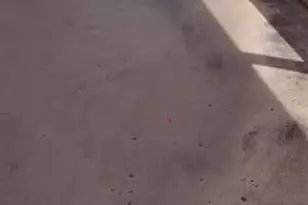 1000 St Charles Pl, Pembroke Pines, FL 33026 - Photo 5