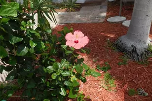 3050 NW 1st Ave, Pompano Beach, FL 33064 - Photo 9