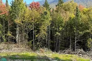 00 US Rte 2, Other City - Not In The State Of Florida, FL 03593 - Photo 13