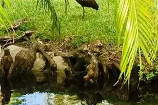 2306 S Cypress Bend Dr, Pompano Beach, FL 33069 - Photo 57