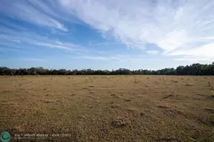 0 Lake Hatcheneha, Haines City, FL 33844 - Photo 11