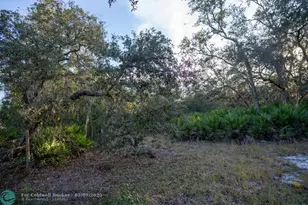 0 Lake Hatcheneha, Haines City, FL 33844 - Photo 17