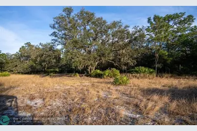 0  Lake Hatcheneha, Haines City, FL 33844 - Photo 15