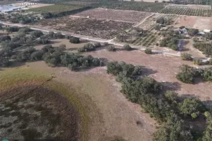 0 Lake Hatcheneha, Haines City, FL 33844 - Photo 23