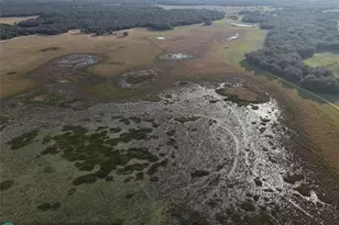 0 Lake Hatcheneha, Haines City, FL 33844 - Photo 25