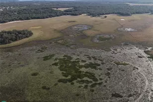 0 Lake Hatcheneha, Haines City, FL 33844 - Photo 19