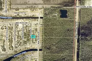 4513 NW 34th Pl, Cape Coral, FL 33993 - Photo 3