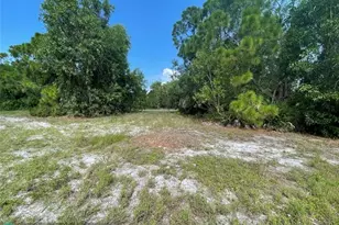 4513 NW 34th Pl, Cape Coral, FL 33993 - Photo 9