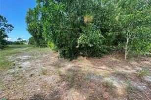 4513 NW 34th Pl, Cape Coral, FL 33993 - Photo 11