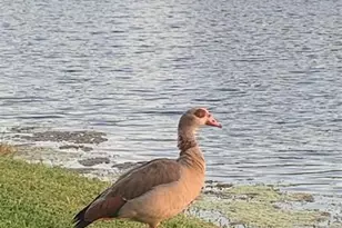 3710 Inverrary Dr, Fort Lauderdale, FL 33319 - Photo 25