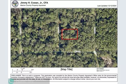 00 NE 113 Ave, Fort Mc Coy, FL 32134 - Photo 1