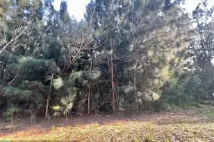 10128 NE 20th Ln, Okeechobee, FL 34974 - Photo 3