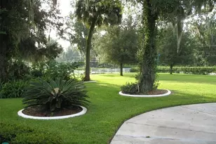 555 SW 87th Pl, Ocala, FL 34476 - Photo 11