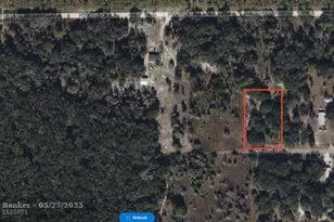 7251 NW 28th Ln, Chiefland, FL 32626 - Photo 1