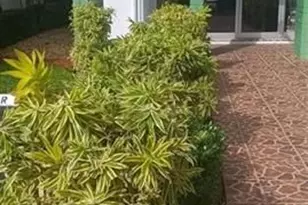 2271 NW 48th Terrace, Lauderhill, FL 33313 - Photo 5