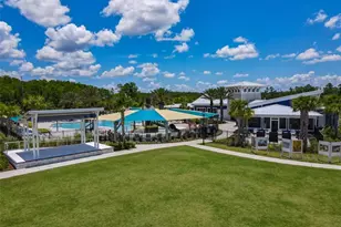 11785 Tidal Aly, Orlando, FL 32832 - Photo 35