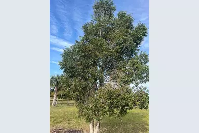 15148 NW 288th St, Okeechobee, FL 34972 - Photo 37