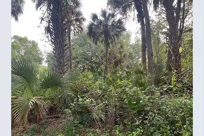 15148 NW 288th St, Okeechobee, FL 34972 - Photo 9